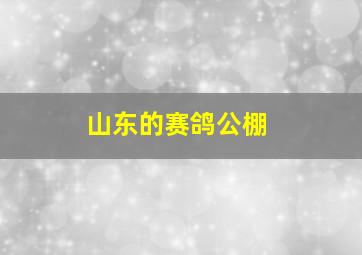 山东的赛鸽公棚