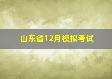 山东省12月模拟考试