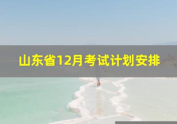 山东省12月考试计划安排