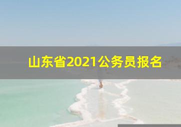 山东省2021公务员报名