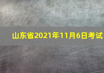 山东省2021年11月6日考试