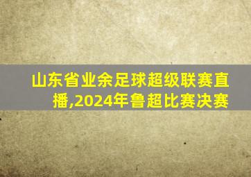 山东省业余足球超级联赛直播,2024年鲁超比赛决赛