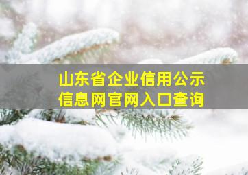 山东省企业信用公示信息网官网入口查询