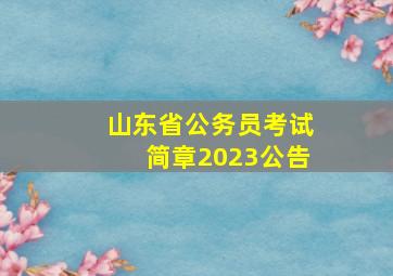 山东省公务员考试简章2023公告