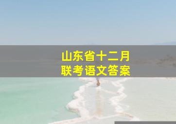 山东省十二月联考语文答案