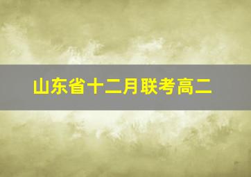 山东省十二月联考高二