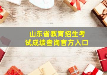 山东省教育招生考试成绩查询官方入口