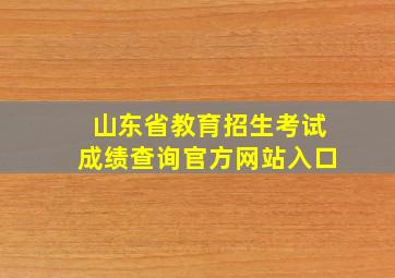 山东省教育招生考试成绩查询官方网站入口