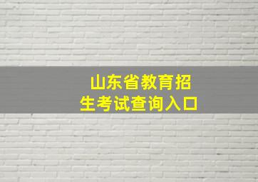 山东省教育招生考试查询入口