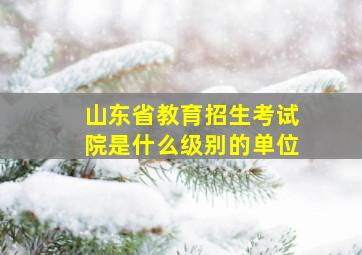 山东省教育招生考试院是什么级别的单位