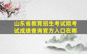 山东省教育招生考试院考试成绩查询官方入口在哪