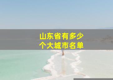 山东省有多少个大城市名单