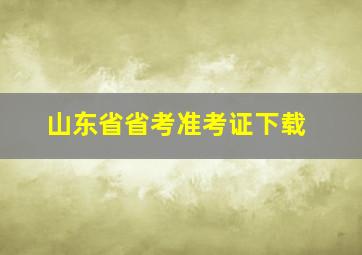 山东省省考准考证下载