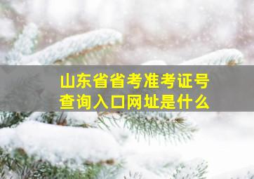 山东省省考准考证号查询入口网址是什么