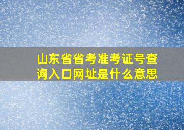 山东省省考准考证号查询入口网址是什么意思