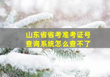 山东省省考准考证号查询系统怎么查不了