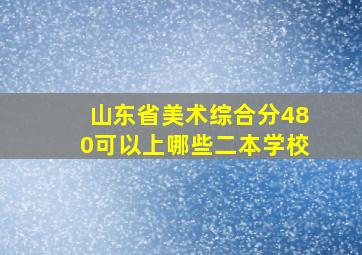 山东省美术综合分480可以上哪些二本学校