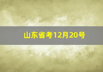 山东省考12月20号