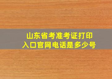 山东省考准考证打印入口官网电话是多少号