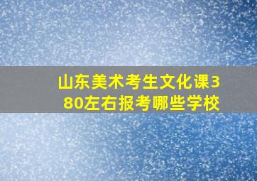 山东美术考生文化课380左右报考哪些学校