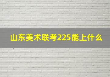 山东美术联考225能上什么