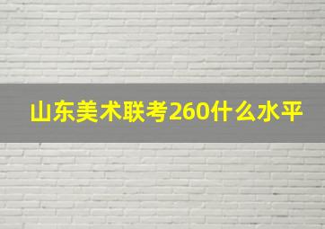 山东美术联考260什么水平