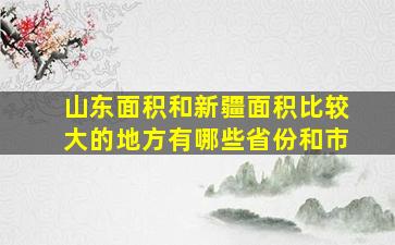 山东面积和新疆面积比较大的地方有哪些省份和市