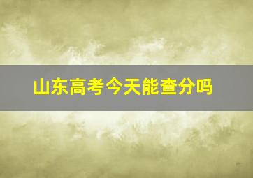 山东高考今天能查分吗