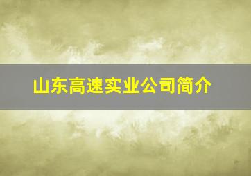 山东高速实业公司简介