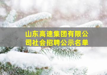 山东高速集团有限公司社会招聘公示名单