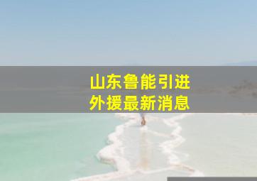 山东鲁能引进外援最新消息