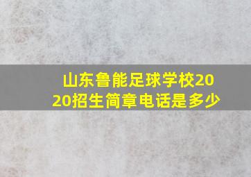 山东鲁能足球学校2020招生简章电话是多少