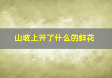 山坡上开了什么的鲜花