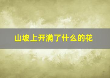 山坡上开满了什么的花