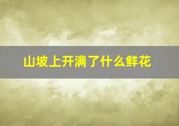 山坡上开满了什么鲜花