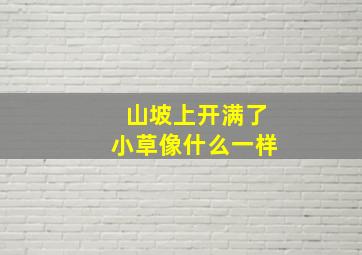 山坡上开满了小草像什么一样