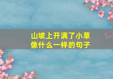 山坡上开满了小草像什么一样的句子