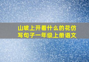 山坡上开着什么的花仿写句子一年级上册语文