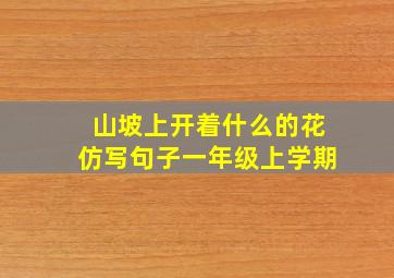 山坡上开着什么的花仿写句子一年级上学期