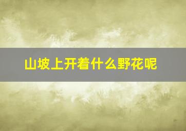 山坡上开着什么野花呢