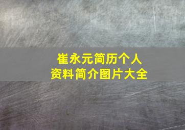 崔永元简历个人资料简介图片大全