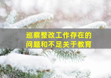 巡察整改工作存在的问题和不足关于教育