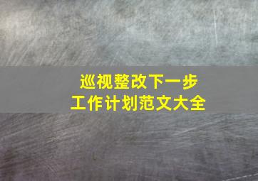 巡视整改下一步工作计划范文大全