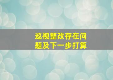 巡视整改存在问题及下一步打算