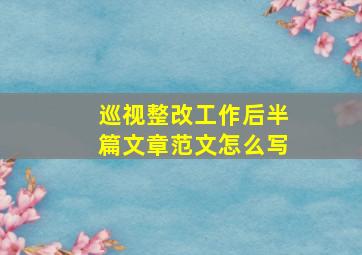 巡视整改工作后半篇文章范文怎么写