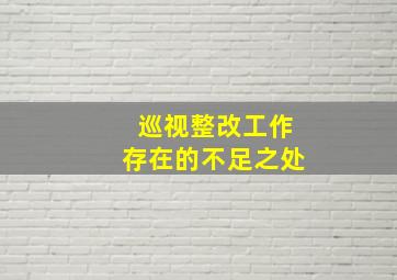 巡视整改工作存在的不足之处