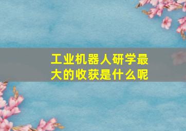 工业机器人研学最大的收获是什么呢