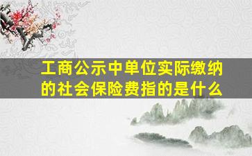 工商公示中单位实际缴纳的社会保险费指的是什么