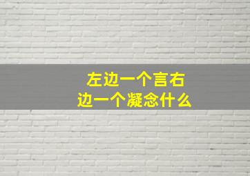 左边一个言右边一个凝念什么