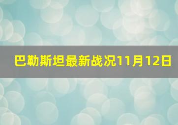 巴勒斯坦最新战况11月12日